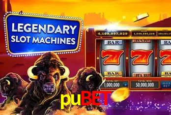 Descubra o Programa VIP da pubet: Vantagens Exclusivas para Jogadores