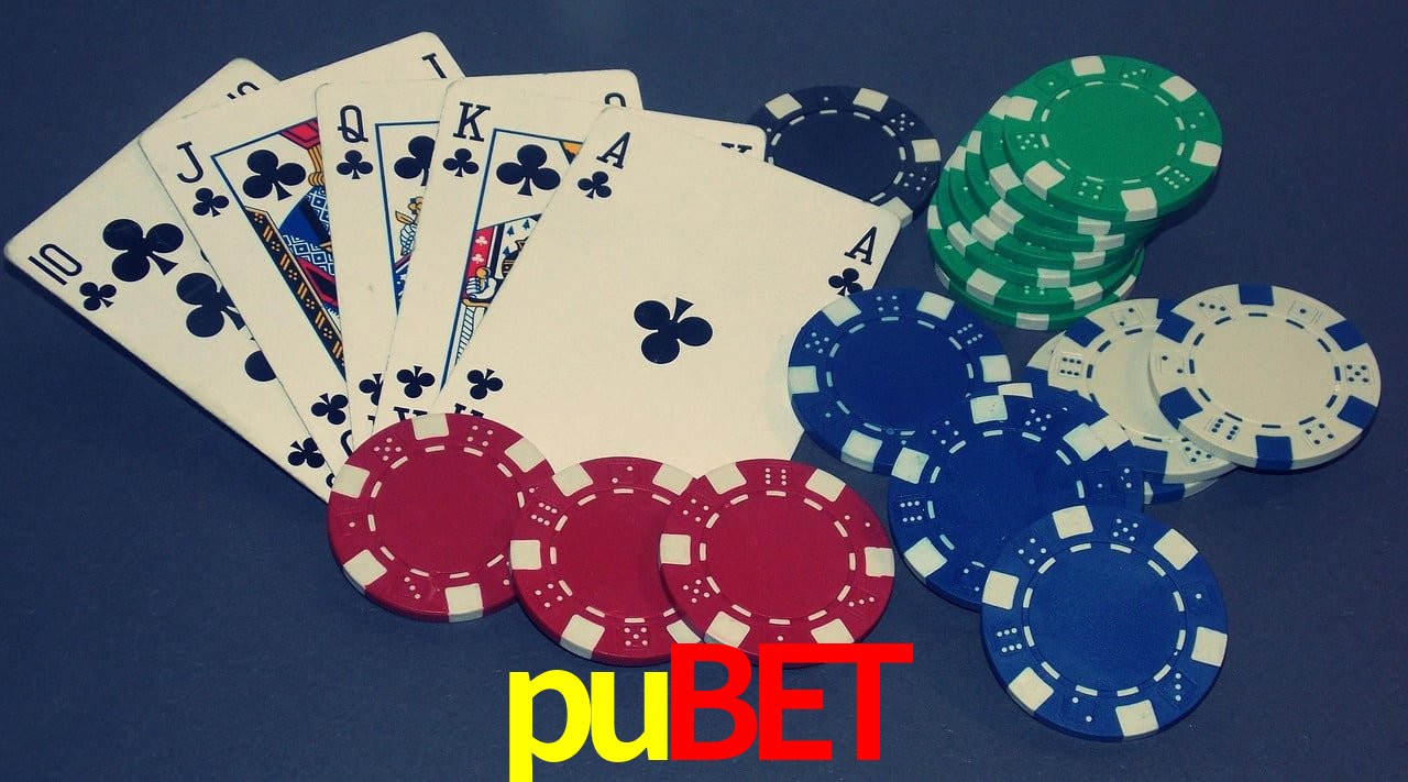 Game Statistics pubet