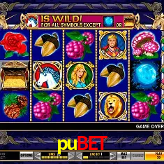 Descubra a Magia dos Jogos de Arcade no pubet