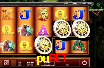 Apostas Esportivas na pubet: Um Guia Completo