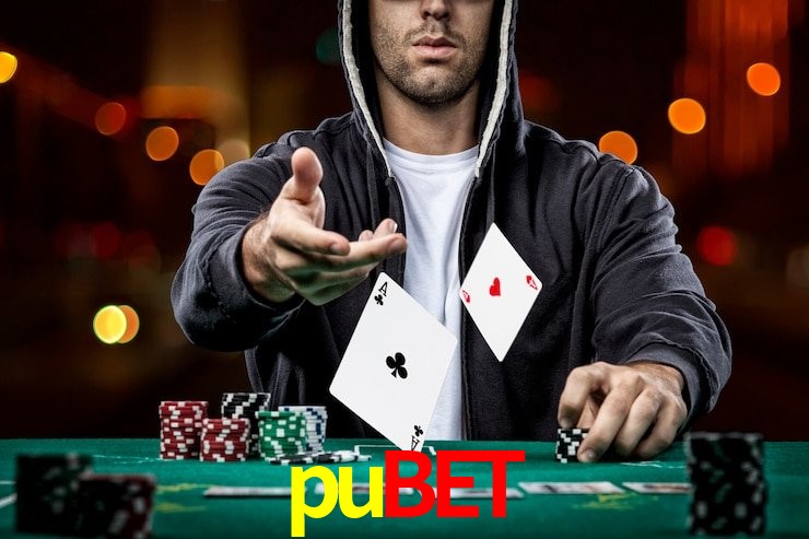 Comparação APP mobile vs versão web da pubet
